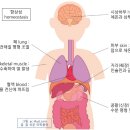 사운드바디짐 이미지