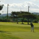 파스크린골프연습장 이미지