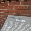 세이유치원 | [예세이]예성 따라 산책하는 광주 여행(feat.도넛)