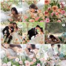 1212 | [로즈앤모어] 플라워디렉팅 계약 후기(아우드스튜디오) + 짝꿍코드(1212복이)💕