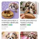 여시까까