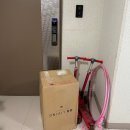 달숲어린이집 | 3월 넷째 주 일상 월남쌈준비 초밥 달숲화분 버스파업 치과검진 유아엑스레이 도미노피자 바샤커피 kbo...