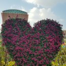 하촌어린이공원 이미지