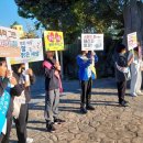 조천초등학교 이미지