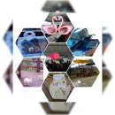 안동백조마을 이미지