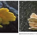심재 - 서초구 동산로2길 40 | 심재