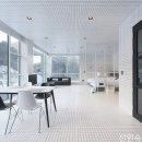 자작나무 스테이 이미지