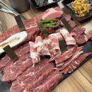 육백더육백 이미지