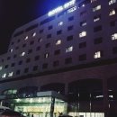 제주 로얄 나이트클럽 | 제주 로얄 호텔 후기^^