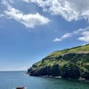 달그리안민박 | 땅콩아이스크림이 진짜 맛있었던 카페 추천 / 뷰도 좋고 맛도 좋았던 우도 카페 달그리안 내돈내산 후기