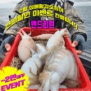 지디컴퍼니 이미지