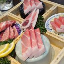 강동참치 | 길동 참치학교 강동 오마카세 코스 내돈내산 후기