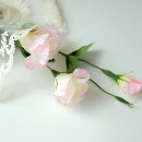 뉴매직크린 이미지