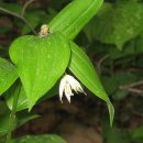 애기능약수터 이미지