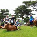광시한우 - 아산시 | 광시한우