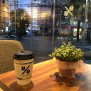 텐퍼센트 동광동점