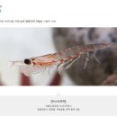 동물병원 닥터K 이미지