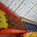 대석농장 이미지