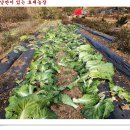 알뜰농장 이미지