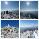 눈꽃별꽃따르기 | 함백산 &amp; 겨울바다 (2023 1128)