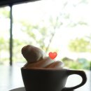 신화목장 이미지