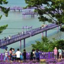 아스타축제 이미지