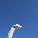 천장호 출렁다리 이미지