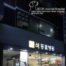 석동물병원 이미지