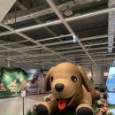 동코 | 이케아 동부산점 방문후기! 반려견 동반 꿀팁까지 정리🐶🐾
