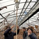 도곡농장2 이미지