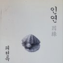 순수한인연 티스토리