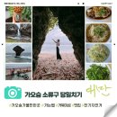 평화전기 | [대만 여행] 가오슝 소류구｜가는법·전기자전거·맛집 후기 정리