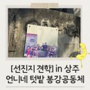 언니네텃밭 봉강공동체 | [공지] [활동] 「선진지 견학」 상주 언니네 텃밭 봉강공동체 - 25. 3. 12