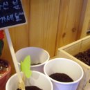 비타민카페 - 밀양시 춘화로 15 | 비타민카페