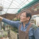 봄정원디자인 이미지