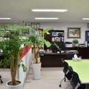 중앙합동행정사사무소 이미지