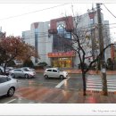 영동인삼사우나 이미지