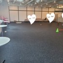 브이독 (V-dog) 이미지