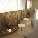 5847 | 클리닉 잘한 성수, 뚝섬미용실 추천 '아르결 성수' 태리쌤 후기