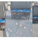 공공용 87 이미지