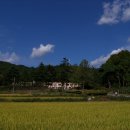 서남초등학교병설유치원 이미지