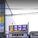 고인돌 김밥 이미지