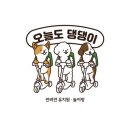 오늘도 댕댕이 | 우리 댕댕이가 이렇게 편안해 보인 건 처음이에요! 송파애견미용 오늘도댕댕이 방문 후기