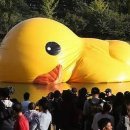 덕