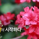 봄날프로젝트 이미지