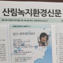 숲향 이미지