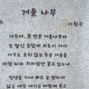 까치로6번길 이미지
