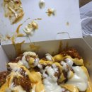 월기농장 | 25년 3월 월기🍓