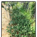 원농장1 이미지