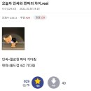 인싸 PC방 이미지